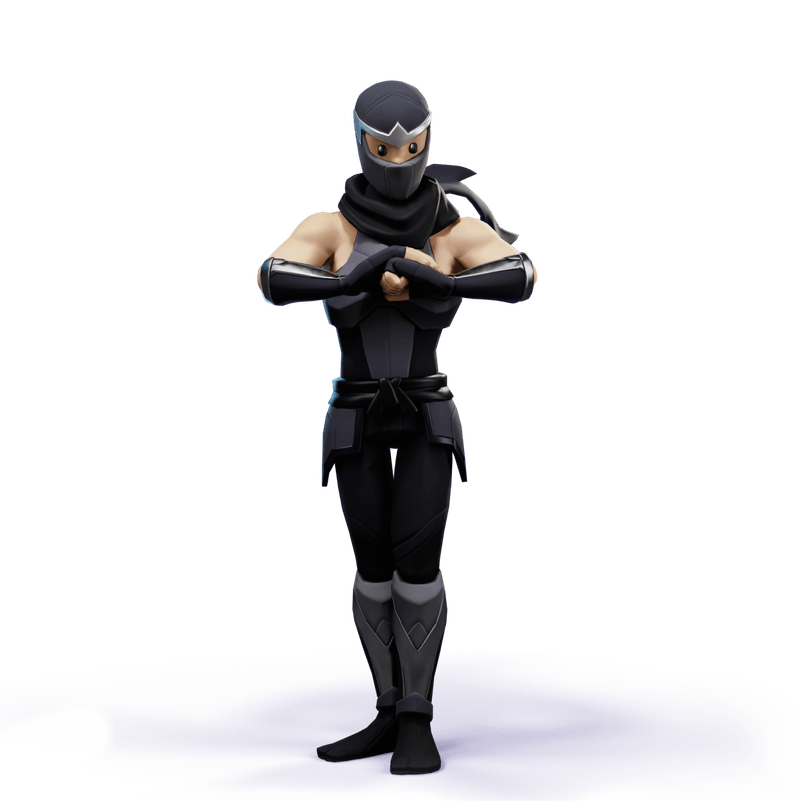 Ninja Character
